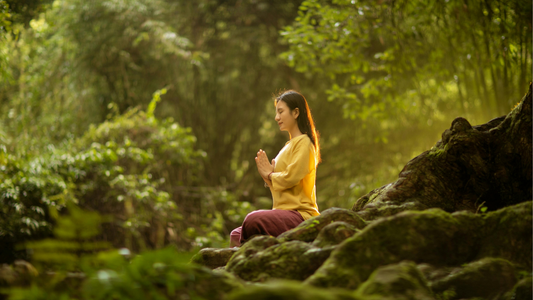 Ayurveda and Mental Health: Ancient Wisdom Meets Modern Science
