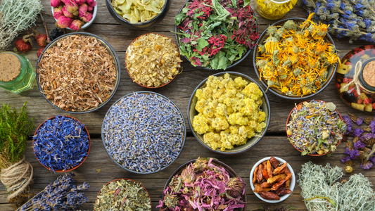 Personalized Ayurveda: The Future of Herbal Wellness Tailored to You