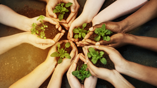 What Is Advanced Ayurveda? The New Era of Herbal Healing Backed by Science